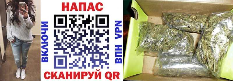 Бошки Шишки план  Купить  Рассказово 